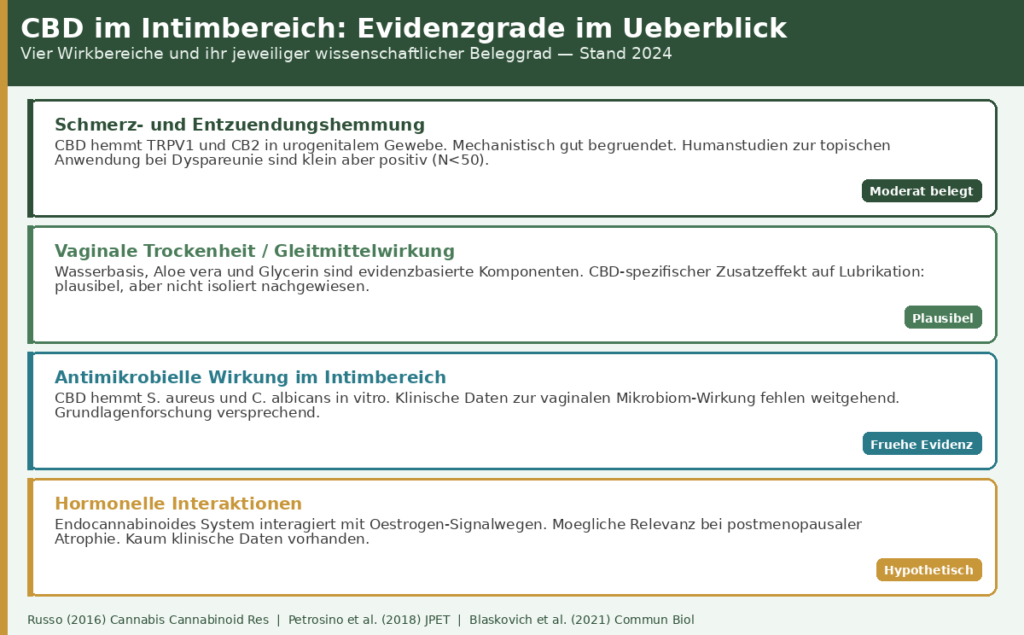 intim_img4_evidenzgrade